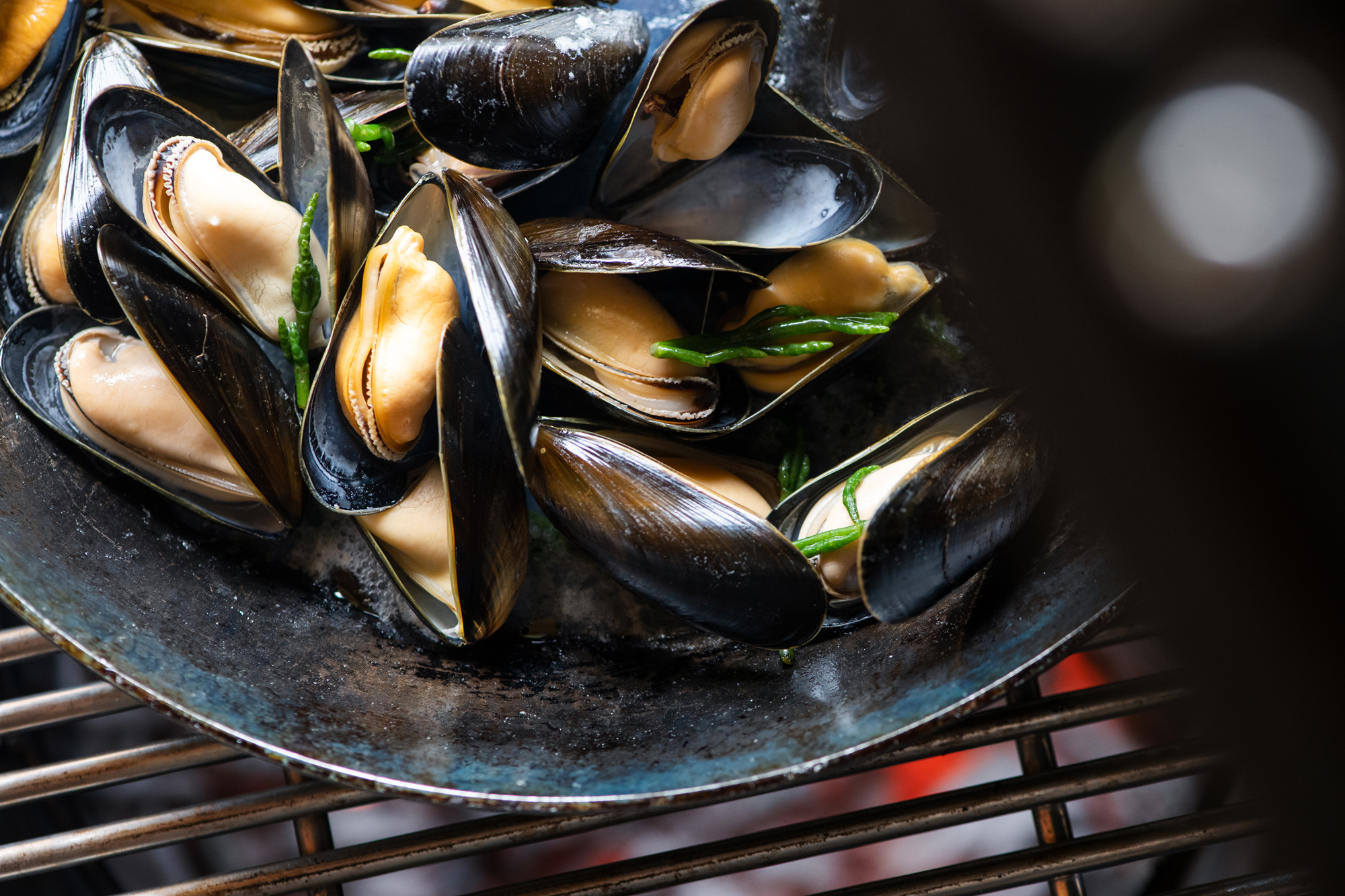 Czech Mussel Week – foto 2